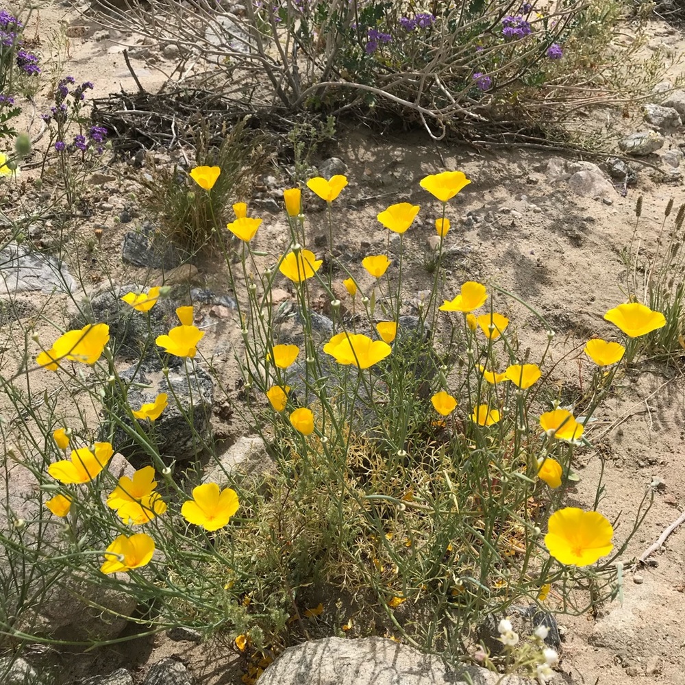 Meet your Posher, Barbara
